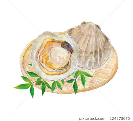 水彩插畫：感恩海鮮：新鮮扇貝 124278670