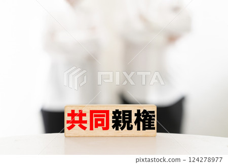 共同監護 124278977