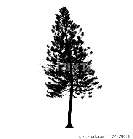 Pine tree vector black color silhouette Pine tree vector black color silhouette 124279096