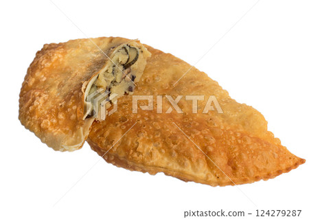 Yellow fried cheburek in a cut with an appetizing Yellow fried cheburek in a cut with an appetizing 124279287