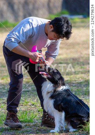 邊境牧羊犬在公園與主人玩耍 124279634