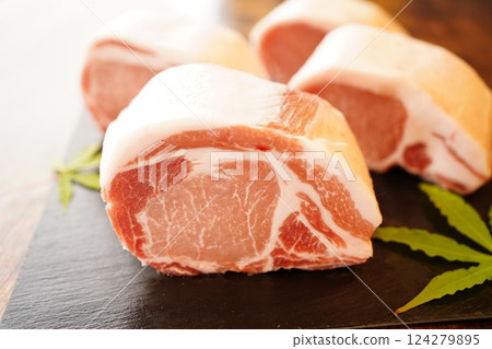 塊豬肉 124279895