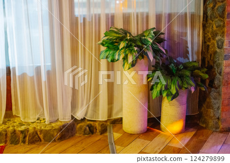Green plants in large vases are in the corner in a Green plants in large vases are in the corner in a 124279899