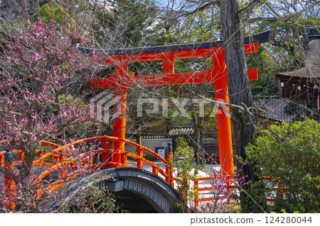 Kyoto Shimogamo Shrine: Korin's plum blossoms and the vermilion-lacquered circular bridge 124280044