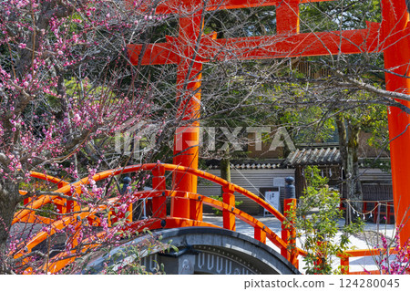 Kyoto Shimogamo Shrine: Korin's plum blossoms and the vermilion-lacquered circular bridge 124280045