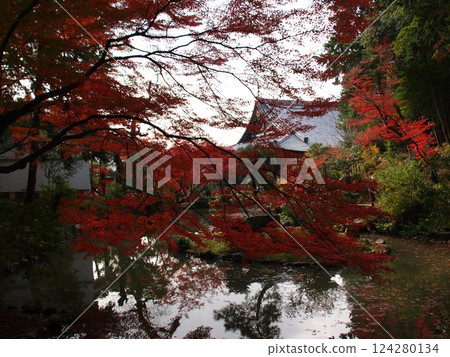 金閣Komyoji寺 124280134