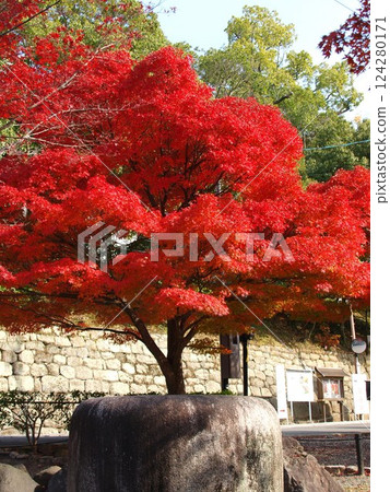 Kinkaku Komyoji Temple 124280171