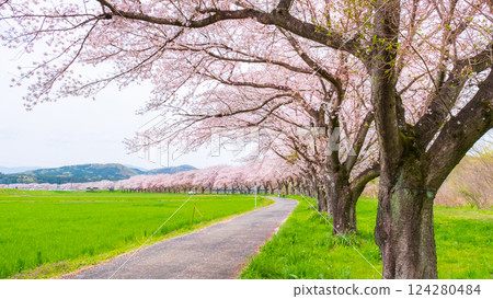 Tengagawa rikko Tengagawa rikko 124280484