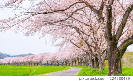 Tengagawa rikko Tengagawa rikko 124280489