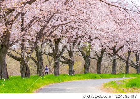 Tengagawa rikko 124280498