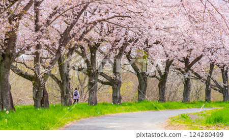 Tengagawa rikko 124280499