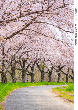 Tengagawa rikko 124280500