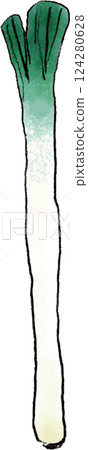 White leek hand-drawn illustration 124280628