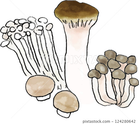 蘑菇配料插畫作文 124280642