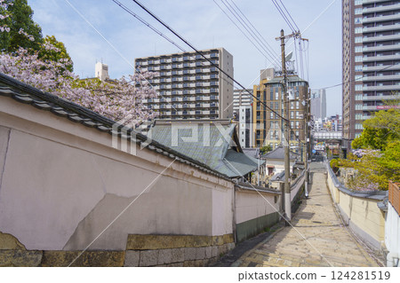 Spring in Osaka: Cherry blossoms in full bloom and Genshoji Hill (Tennoji Seven Hills) Spring in Osaka: Cherry blossoms in full bloom and Genshoji Hill (Tennoji Seven Hills) 124281519