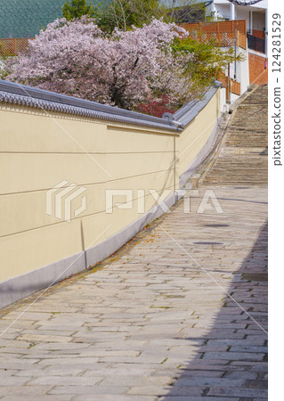 Spring in Osaka: Cherry blossoms in full bloom and Genshoji Hill (Tennoji Seven Hills) 124281529
