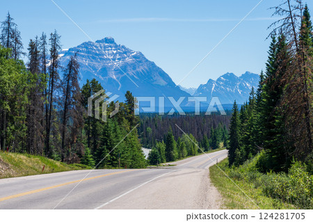 Icefields Parkway (Alberta Highway 93), Jasper National Park Scenic Drive. Canadian Rockies summer landscape. Mount Kerkeslin. 124281705
