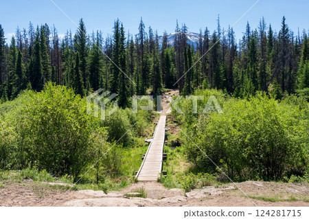 Scenic Hiking Trail to Valley of the Five Lakes in Jasper National Park, Alberta, Canada. Scenic Hiking Trail to Valley of the Five Lakes in Jasper National Park, Alberta, Canada. 124281715