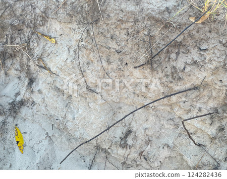 Wet Sand, Brown Sand, texture background with Wet Sand, Brown Sand, texture background with 124282436