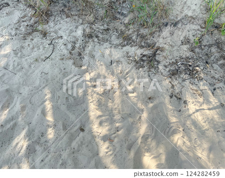 Footprints of people and tires on the white sand Footprints of people and tires on the white sand 124282459