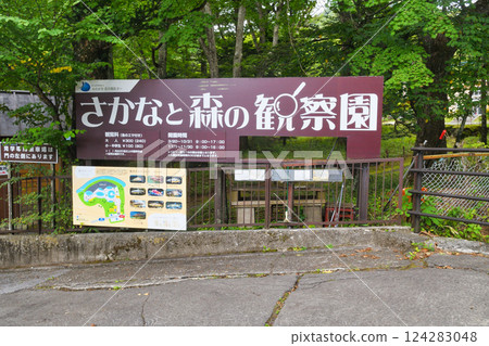 魚類與森林觀察園（栃木縣日光市） 124283048