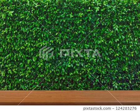 Empty wooden table, lush green bush background for displaying merchandise and products. Empty wooden table, lush green bush background for displaying merchandise and products. 124283276