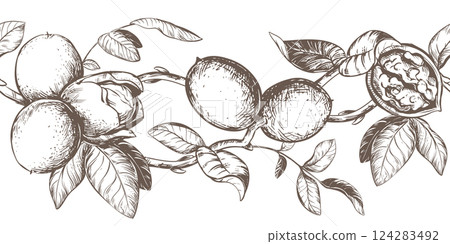Horizontal pattern of walnut branches. Vector border with kernels, leaves and nut skin. Illustration in engraving style. Design for pasta, nut paste or liqueur. Hand drawn ink sketch. 124283492