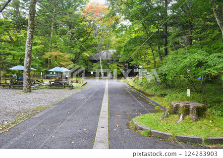 魚類與森林觀察園（栃木縣日光市） 124283903