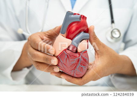 Cardiovascular disease CVD, Asian doctor holding human anatomy model for learn and treat heart disease. 124284039
