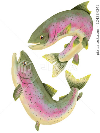 Leaping Rainbow Trout 124284342