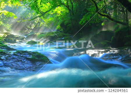 美麗光芒的菊池溪谷(菊池市) 美麗光芒的菊池溪谷(菊池市) 124284561