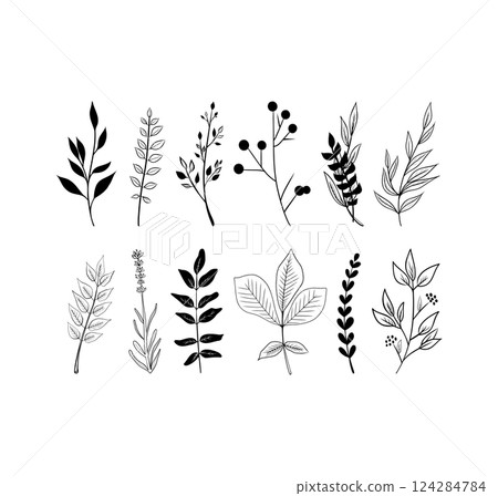 Vector sketch illustration. Palm foliage. Continuous line drawing. Vector outline illustration. Palm leaves. 124284784
