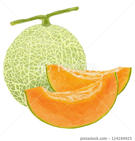 Illustration material of 1 red-fleshed muskmelon and 2 cut slices 124284925