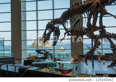 Nagasaki Dinosaur Museum Nagasaki Dinosaur Museum 124285002