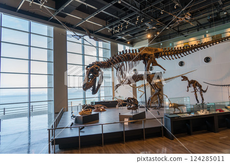 Nagasaki Dinosaur Museum Nagasaki Dinosaur Museum 124285011