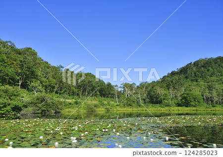 Shiga Kogen Kazuma 124285023