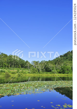 Shiga Kogen Kazuma Shiga Kogen Kazuma 124285024