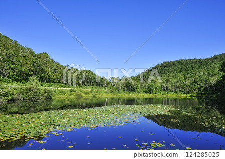 Shiga Kogen Kazuma 124285025