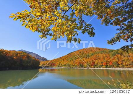 Shiga Takahara Biwa Pond 124285027