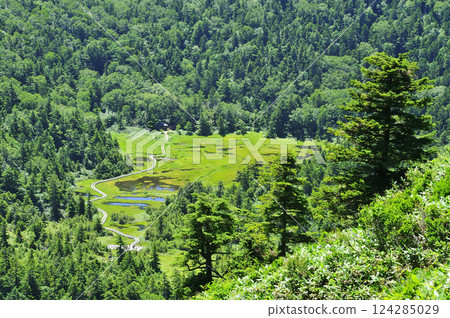 Shiga Kogen Hakuikeike Mire Shiga Kogen Hakuikeike Mire 124285029
