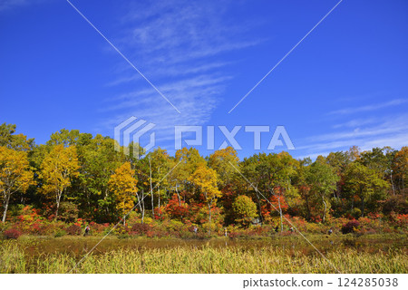 Shiga Kogen highland pond 124285038