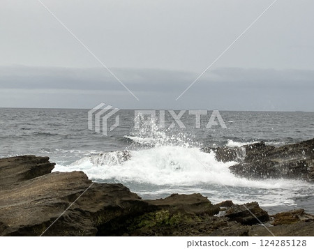 Jogashima Island on a cloudy day (Miura Peninsula) 124285128