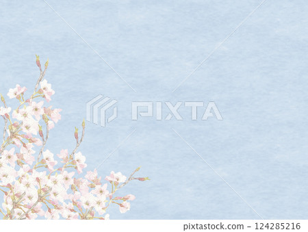 Watercolor background of cherry blossoms floating in the blue sky Frame material [hand-drawn] Copy space 124285216