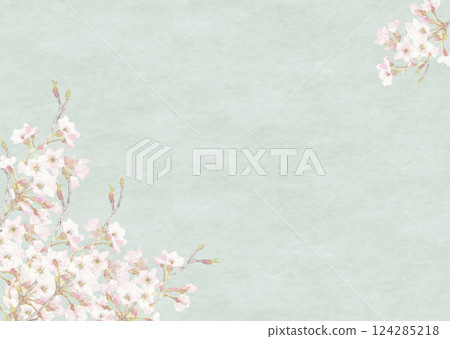 Cherry blossoms on a pale green background painted with watercolors Frame material [hand-drawn] Copy space 124285218