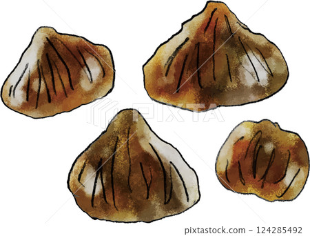 Asari 蛤蜊手繪插圖 124285492
