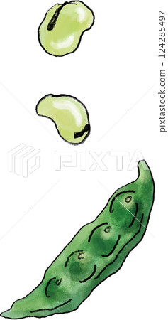 Edamame hand-drawn illustration 124285497