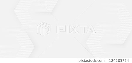 Minimal White Abstract Background with Subtle Hexagonal Line Pattern 124285754