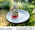 Butterflies having tea time in the sunshine 124285763