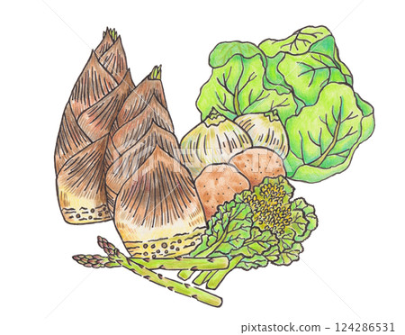 Illustration of spring vegetables 124286531