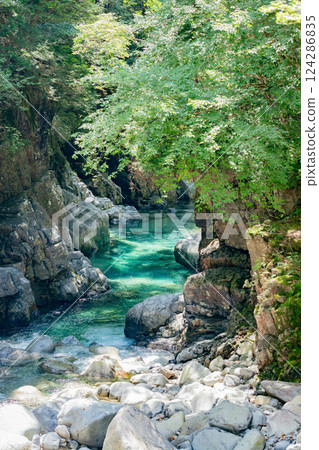 <長野>阿特拉山谷的美景 <長野>阿特拉山谷的美景 124286835